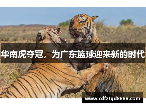 华南虎夺冠，为广东篮球迎来新的时代