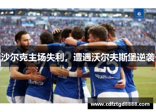 沙尔克主场失利，遭遇沃尔夫斯堡逆袭