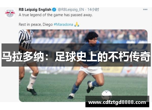 马拉多纳：足球史上的不朽传奇