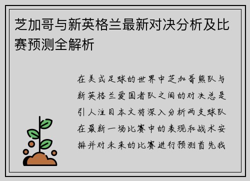 芝加哥与新英格兰最新对决分析及比赛预测全解析